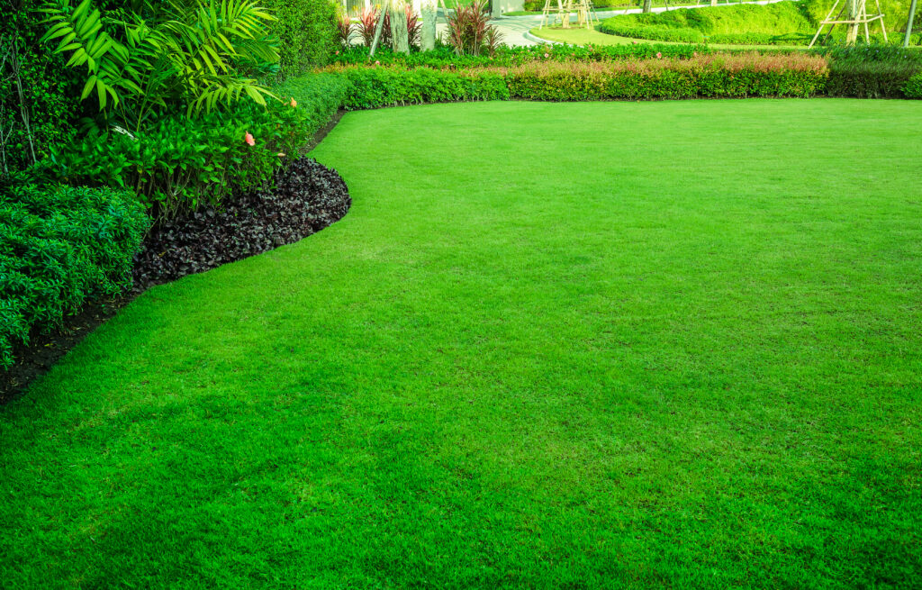 Grass Lawn with hedging.